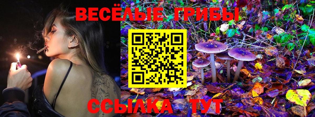 Галлюциногенные грибы Cubensis  Вход с VPN  Киселёвск 